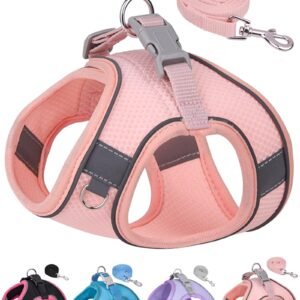 Aecllcea Puppy Harness and Leash Set Training, Dog Vest Harness for Small, Medium Dogs (Peach, M)