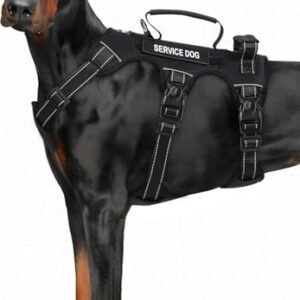 Harness with Six Point Adjustable, Service Dog Vest Harness, No Pull Dogs Harnesses with Handle, XL