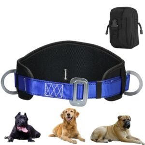 Hands Free Dog Walking Wasit Belt with Zipper Pouch, Adjustable, Hands Free
