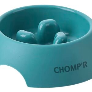 Slow Feeder Dog Bowl for Small Breeds