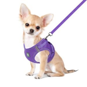 FEimaX Dog Harness and Leash Set, No-Pull Breathable Soft Mesh Puppy Vest Harness Reflective Adjustable Pet Harnesses for Small Medium Dogs and Cats - Outdoor Easy Control for Walking (L, Purple)