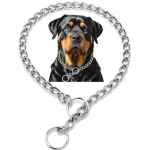 Silver Chain Dog Collars for Large Dogs