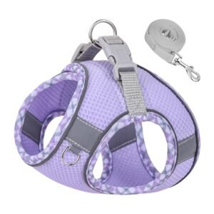 Purple XS Step-in Vest Harness and Leash Set - No Pull Adjustable Reflective Pet Harness for Small Dogs and Cats - Easy Walk, Outdoor Hiking, Training, XS