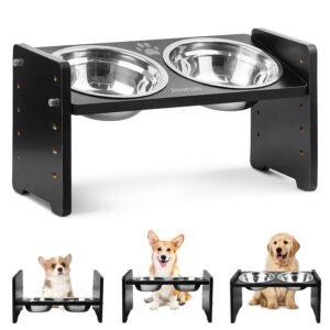 Elevated Dog Bowls