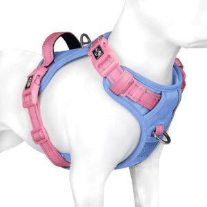 PHOEPET No Pull Dog Harness, Unique Colors Reflective Adjustable Dog Vest, with Soft Training Handle Metal Clips for Small Medium Large Dogs (Pink Base & Blue Straps,XL)