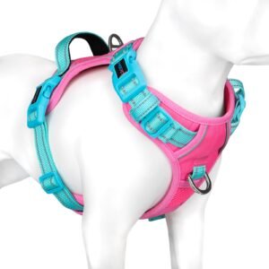 PHOEPET No Pull Dog Harness, Unique Colors Reflective Adjustable Dog Vest, with Soft Training Handle Metal Clips for Small Medium Large Dogs (Pink Base & Green Straps, M)