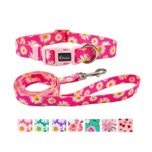 Collar & Leash Set