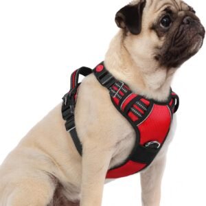 rabbitgoo Dog Harness Small Sized, No Pull Dog Vest with 3 Buckles, Adjustable Soft Padded Pet Harness with Easy Control Handle and Reflective Strips, Red, S