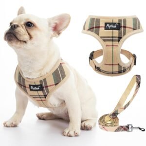 PUPTECK Soft Mesh Dog Harness and Leash Set Pet Puppy Cat Comfort Padded Vest No Pull Harnesses, Beige, L