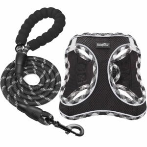No Pull Harness with Leash Set, Adjustable and Reflective