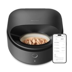 Automatic Pet Feeder