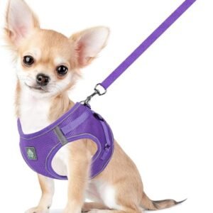 FEimaX Dog Harness and Leash Set, No-Pull Breathable Soft Mesh Puppy Vest Harness Reflective Adjustable Pet Harnesses for Small Medium Dogs and Cats - Outdoor Easy Control for Walking (XL, Purple)