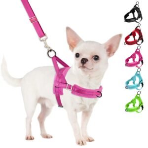 SlowTon No Pull Small Dog Harness and Leash Set, Puppy Soft Vest Harness Neck & Chest Adjustable, Reflective Lightweight Harness & Anti-Twist Pet Lead Combo for Small Medium Dogs (Fuchsia, XXS)
