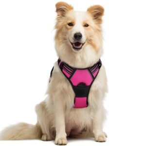 Rabbitgoo Dog Harness No Pull with 2 Leash Clips, Adjustable Soft Padded, Reflective Oxford No Choke Pet Vest with Easy Control Handle for Medium Sized Dogs, Hot Pink, M