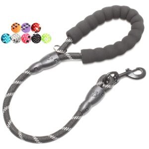 BAAPET Dog Leash with Comfortable Padded Handle and Highly Reflective Threads for Small Medium and Large Dogs (2FT-1/2'', Black)