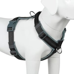Plutus Pet No Pull Dog Harness, Adjustable Nylon Harness with Soft Padding,  Reflective and Heavy Duty Dog Harness (Black,  XL)