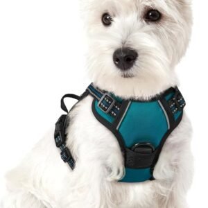 Rabbitgoo Dog Harness No Pull with 2 Leash Clips, Adjustable Soft Padded, Reflective Oxford No Choke Pet Vest with Easy Control Handle, Blue Coral, M