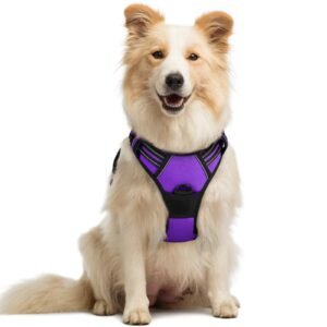 rabbitgoo Dog Harness No Pull with 2 Leash Clips, Adjustable Soft Padded, Reflective Oxford No Choke Pet Vest with Easy Control Handle for Medium Sized Dogs, Purple, M