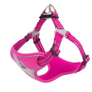 TRUE LOVE Dog Harness TLH5991 Anti Pull Safety Vest Step-in Style Harness for More Comfort and Less Tug Reflective Pet Harness by Truelove Fushcia