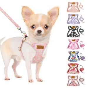 SlowTon No Pull Dog Harness with Leash - Soft Lightweight Floral Pattern Puppy Harness, Adjustable Pet Harnesses for Small Medium Dogs (Pink Daisy XS)
