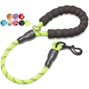 BAAPET  Dog Leash with Comfortable Padded Handle and Highly Reflective Threads for Small Medium and Large Dogs (2FT-1/2'', Green)