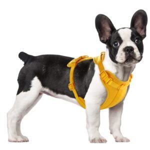 No Pull Lightweight Dog Harness: Adjustable Durable Breathable Mesh Pet Vest Harness with Soft and Comfortable Cushion, Easy to Clean, for Small Medium Large Dogs (Medium, Daylily Yellow)
