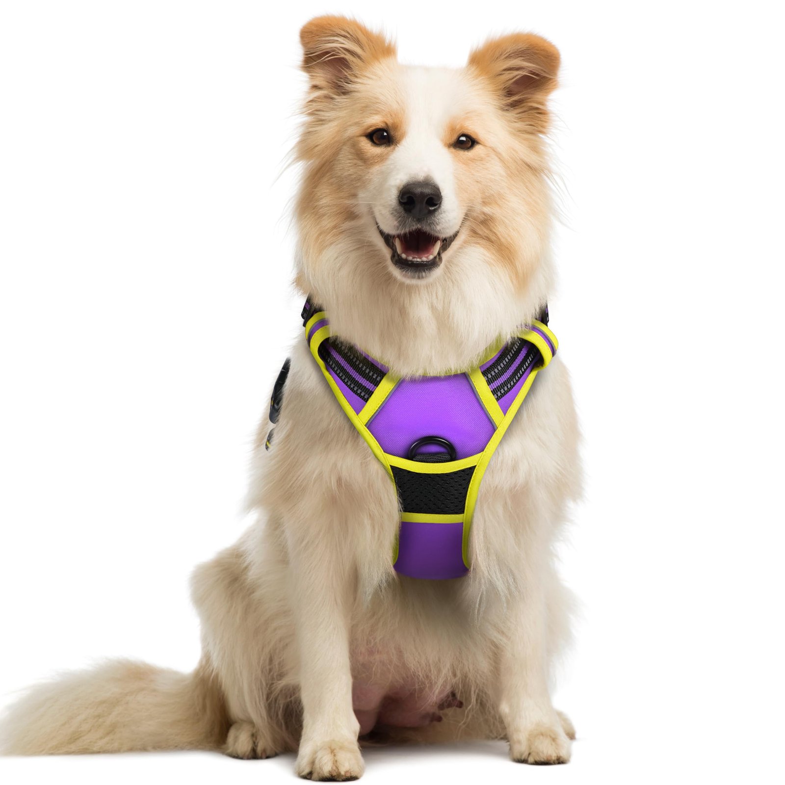 rabbitgoo Dog Harness No Pull with 2 Leash Clips, Adjustable Soft Padded, Reflective Oxford No Choke Pet Vest with Easy Control Handle for Medium Sized Dogs, Purple & Yellow, M