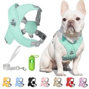 Patas Lague Dog Harness with Leash Set Adjustable Soft Padded Step-in Dog Vest No Choke No Pull Reflective for Small Medium Pets with Poop Bags and Dispenser, Solid and No-chew, Green S