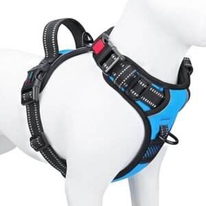 PHOEPET No Pull Dog Harness Reflective Front Clip Vest with Handle, Adjustable 2 Metal Rings 3 Buckles,[Easy to Put on & Take Off] (M, Blue)