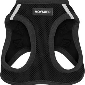 Voyager Step-In Air Dog Harness - All Weather Mesh, Reflective, No Pull Harness for Small, Medium Dogs, Cats - Secure with Hook & Loop Fastener, Buckle, Double D-Rings - Black/Black Trim, S