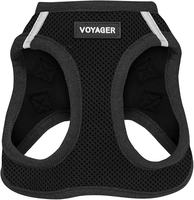 Voyager Step-In Air Dog Harness - All Weather Mesh, Reflective, No Pull Harness for Small, Medium Dogs, Cats - Secure with Hook & Loop Fastener, Buckle, Double D-Rings - Black/Black Trim, S