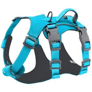 SlowTon No Pull Dog Harness - Lightweight Escape Proof Dog Harness with Handle, Adjustable Reflective Dog Vest Harness for Small Medium Large Dogs Easy Walking, Training, Hiking (Blue,L/XL)