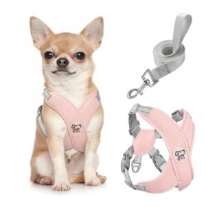 Pawaboo Small Dog Harness and Leash Set, Puppy Harness X-Frame No Pull No Choke, Dog Vest Harness Adjustable for Small Medium Sized Dogs, Soft Breathable Pet Harness for Walking Outing (S, Pink)