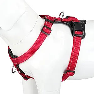 Plutus Pet Adjustable No Pull Dog Harness with Leather Accents, Heavy Duty Reflective Nylon Vest for Training, Hiking, Easy Walk Harness   (Red, L)