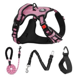 NESTROAD No Pull Dog Harness,Adjustable Oxford Dog Vest Harness with Leash,Reflective No-Choke Pet Harness with Easy Control Soft Handle for Small Dogs (Small, Pink)