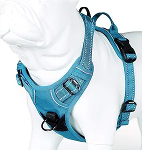 JUXZH Truelove No Pull Dog Harness with Easy Control Handle and 2 Leash Attachments,Reflective Adjustable Pet Vest, Large Gray