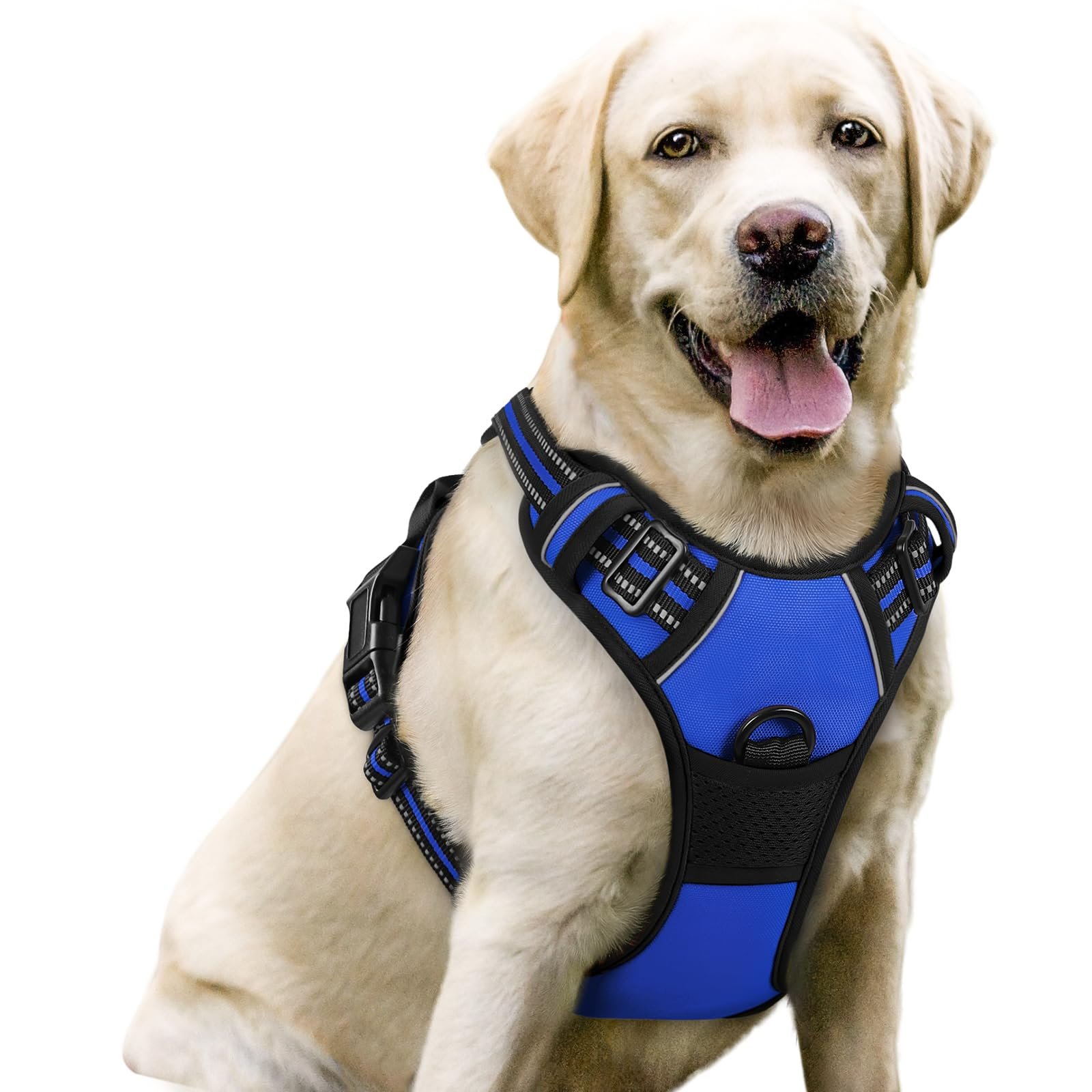 rabbitgoo Dog Harness No Pull with 2 Leash Clips, Adjustable Soft Padded, Reflective Oxford No Choke Pet Vest with Easy Control Handle for Large Dogs, Dazzling Blue, L