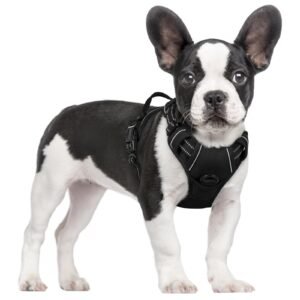 Rabbitgoo Dog Harness No Pull with 2 Leash Clips, Adjustable Soft Padded, Reflective Oxford No Choke Pet Vest with Easy Control Handle for Small Dogs, Black, S