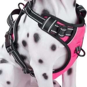 PoyPet No Pull Dog Harness, Reflective Comfortable Vest Harness with Front & Back 2 Leash Attachments and Easy Control Handle Adjustable Soft Padded  (Pink,M)