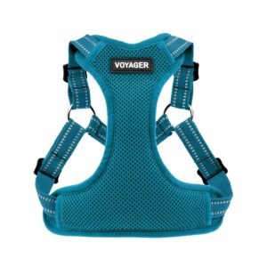 Best Pet Supplies Voyager Adjustable Dog Vest Harness Breathable No Pull Harness for Small, Medium, Large Dogs, Harness for Walking, Jogging, Easy Step-in, Reflective Stripes - Turquoise, S