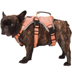Paworld No Escape Dog Harness, Escape Proof Harness, Fully Reflective Harness with Padded Handle, Breathable,Durable, Adjustable Vest for Medium Dogs Walking, Training, and Running Gear (Orange, S)