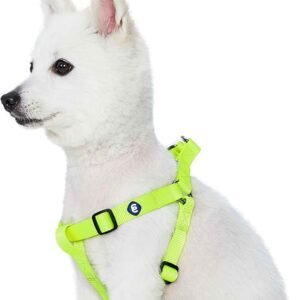 Blueberry Pet Essentials Step-in Dog Harness, Small Size | Adjustable Highlighter Yellow Vest | Classic Solid Nylon for Boy & Girl Dogs, Chest Girth 16.5" - 21.5"