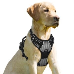 BARKBAY No Pull Dog Harness Front Clip Heavy Duty Reflective Easy Control Handle for Large Dog Walking(Dark Grey,M)