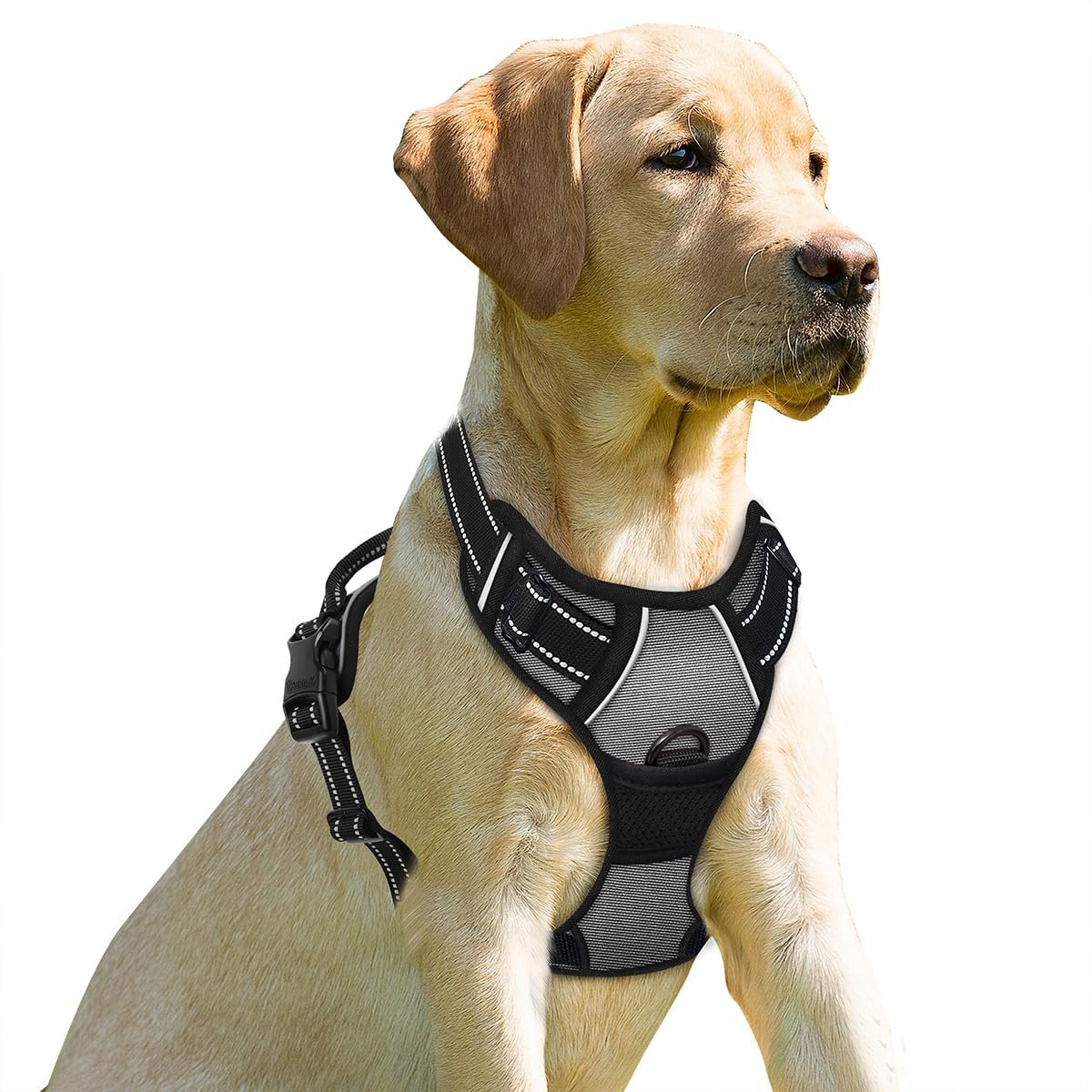 BARKBAY No Pull Dog Harness Front Clip Heavy Duty Reflective Easy Control Handle for Large Dog Walking(Dark Grey,M)