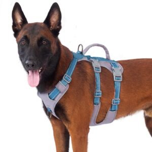 Huntboo Reflective Dog Harness with Handle, Escape Proof, No Slip, Breathable, Lightweight, Adjustable Lift Harness for Small, Medium, and Large Dogs Walking, Training, and Running Gear(Teal Blue,L)