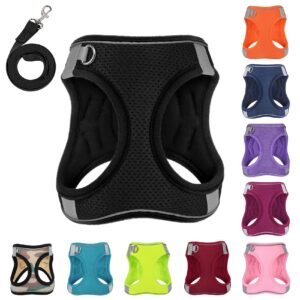 PWOD Dog Harness with Leash Set, No-Pull Step-in Reflective Pet Harness with 1 Leash Clips, Adjustable Soft Padded Easy Walk Dog Vest for Small Medium Large Dogs, Cats(Carbon Black, Small)