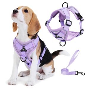 Jolifield No Pull Dog Harness with Leash Set for Small Sized Dog, Reflective Adjustable No Choke Front Clip Cat Vest Harness with Breathable Mesh, Comfortable Soft Padded Pet Vest, Purple L
