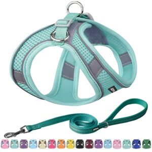 AIITLE Easy Walk Dog Harness and Leash Set - Pet Supply No Pull, Step in Adjustable Pet Harnesses with Padded Vest for Summer, No Choke Over, Easy to Put on Medium Dogs Pure Turquoise L