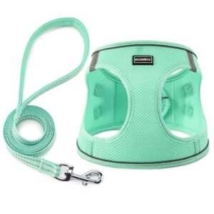 Dog Harness with Leash Set, No Pull Adjustable Reflective Step-in Puppy Pet Vest Harnesses for Small Medium Large Dogs and Cats,Green M