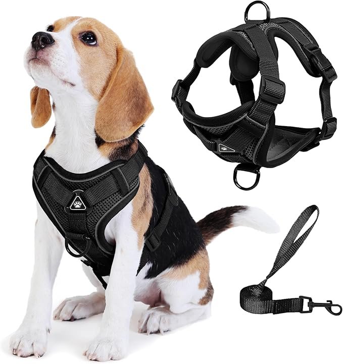 Jolifield No Pull Dog Harness with Leash Set for Small Sized Dog, Reflective Adjustable No Choke Front Clip Cat Vest Harness with Breathable Mesh, Comfortable Soft Padded Pet Vest, Black M
